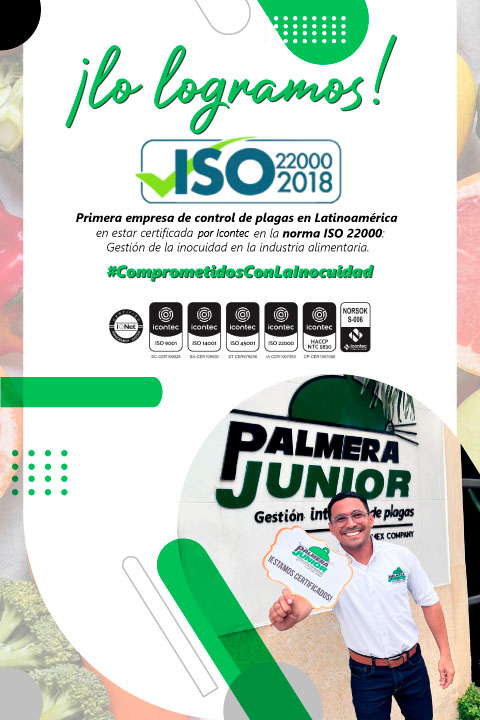 BANNER-PRINCIPAL-WEB-PALMERA-JUNIOR–EMPRESA-FUMIGACIONES-Y-CONTROLADORA-DE-PLAGAS BANNER-PRINCIPAL-WEB-PALMERA-JUNIOR-EMPRESA-FUMIGACIONES-Y-CONTROLADORA-DE-PLAGAS