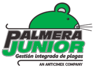 Palmera Junior