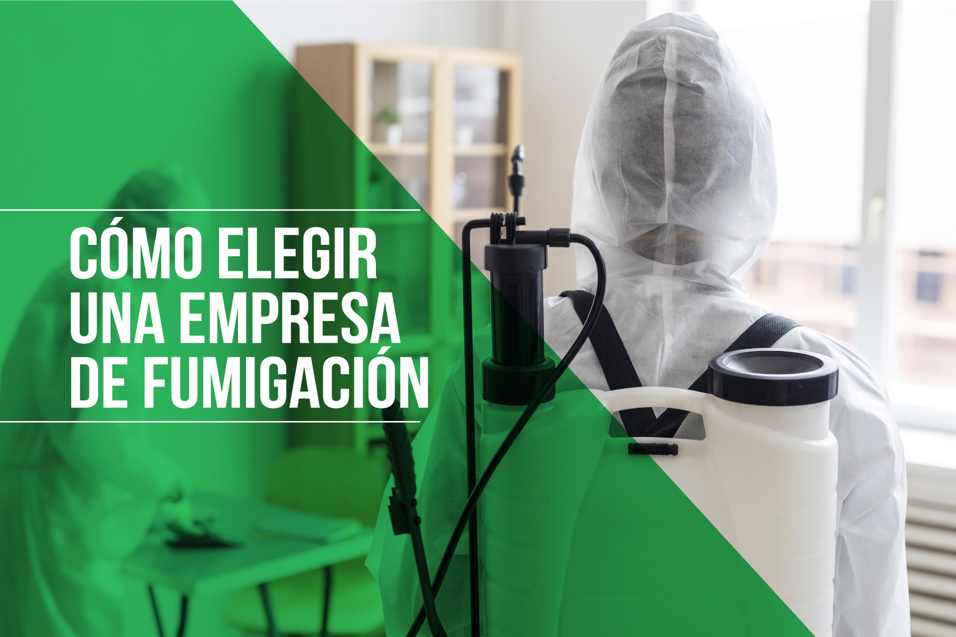 Cómo elegir la empresa de fumigación adecuada en Cali: Pautas y