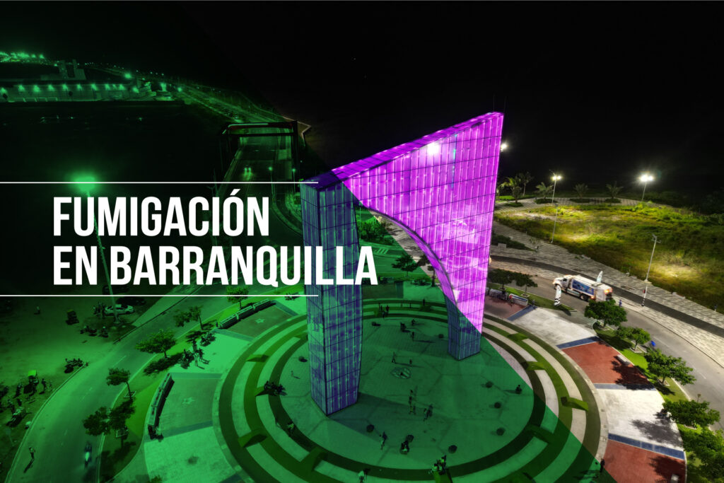Fumigación en Barranquilla: Precios, Factores Determinantes y Consejos Útiles