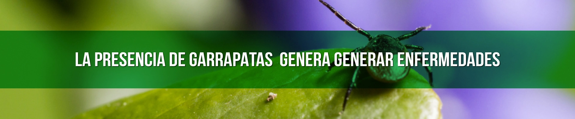 EMPRESA-DE-CONTROL-DE-GARRAPATAS