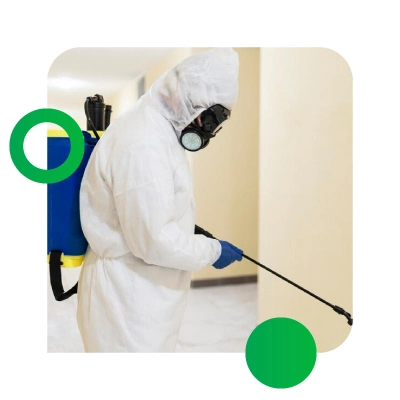 EMPRESA-DE-FUMIGACION-DE-RATONES-Y-CUCARACHAS-EN-POPAYAN