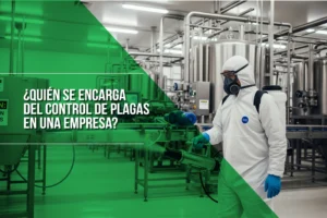 Quién-se-encarga-del-control-de-plagas-en-una-empresa