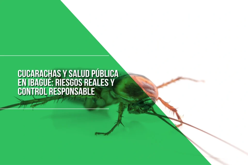 cucarachas-salud-publica-ibague