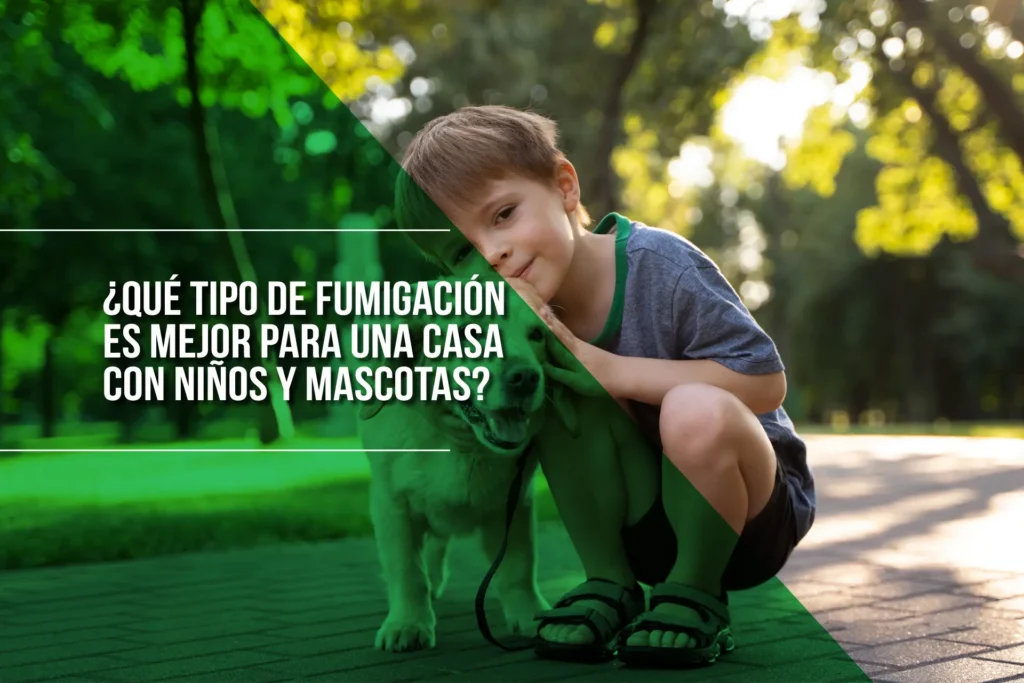 fumigacion-segura-hogar-ninos-mascotas-medellin