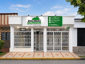 Palmera Junior SAS place picture